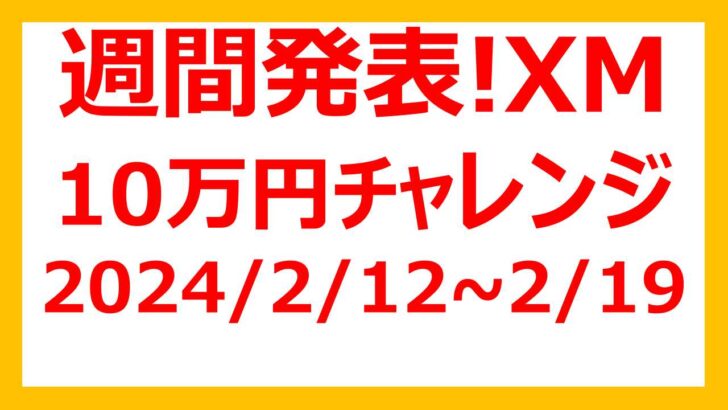 XM 10万円チャレンジの2024/2/12~2/19の週間結果を発表！